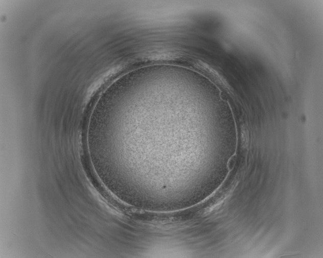 X0000076400725200610161204