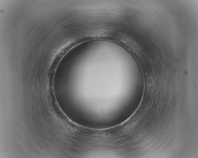 X0000076400727200610161204