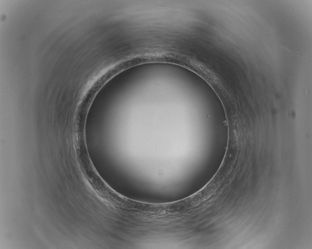 X0000076400728200610161204