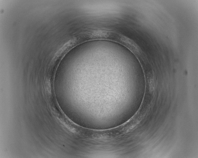 X0000076400729200610161204