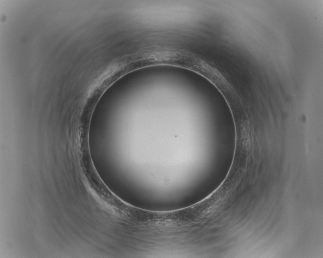 X0000076400730200610161204