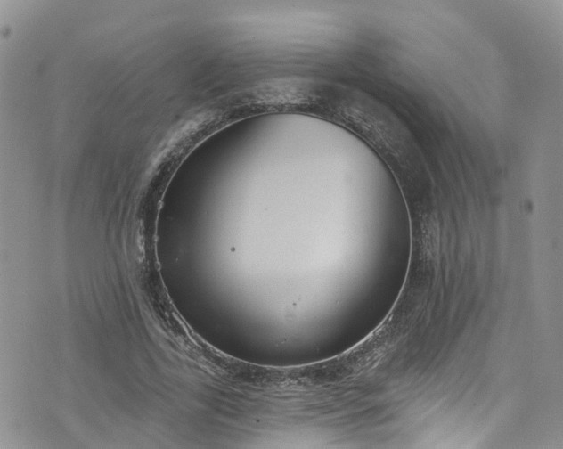 X0000076400731200610161204