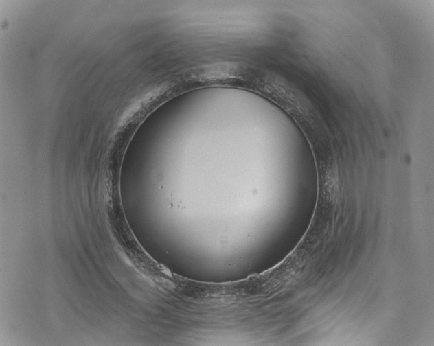 X0000076400732200610161204