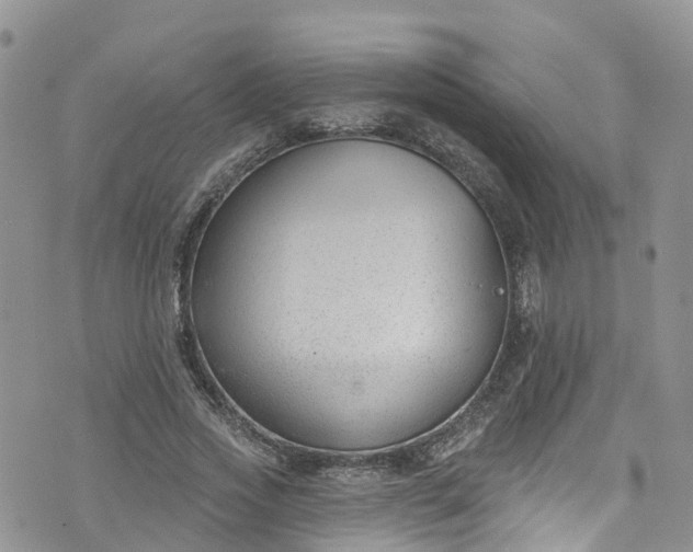 X0000076400733200610161204