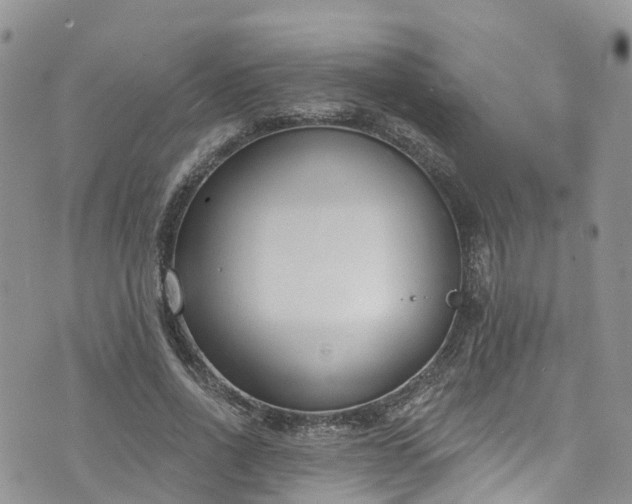 X0000076400734200610161204