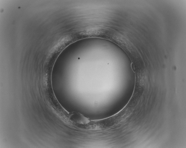 X0000076400735200610161204