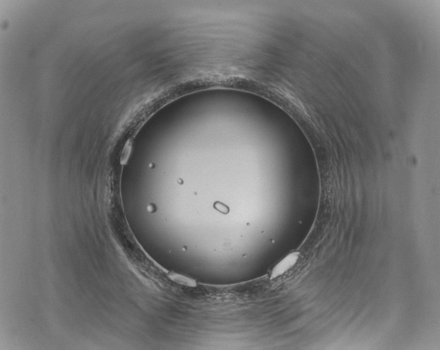 X0000076400736200610161204