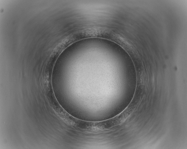 X0000076400737200610161204