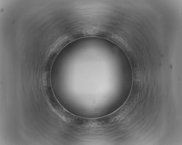 X0000076400738200610161204