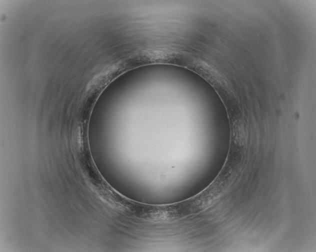 X0000076400740200610161204