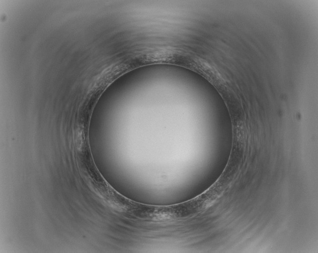 X0000076400741200610161204