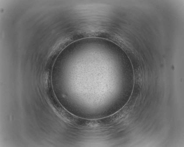 X0000076400742200610161204