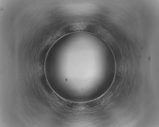 X0000076400743200610161204