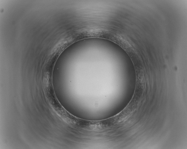 X0000076400744200610161204