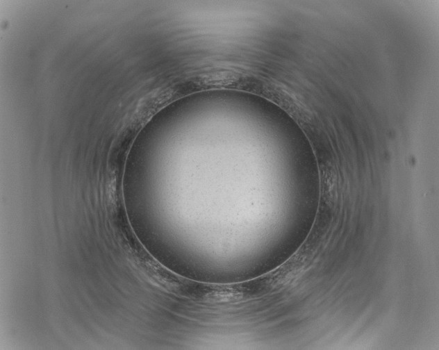 X0000076400745200610161205