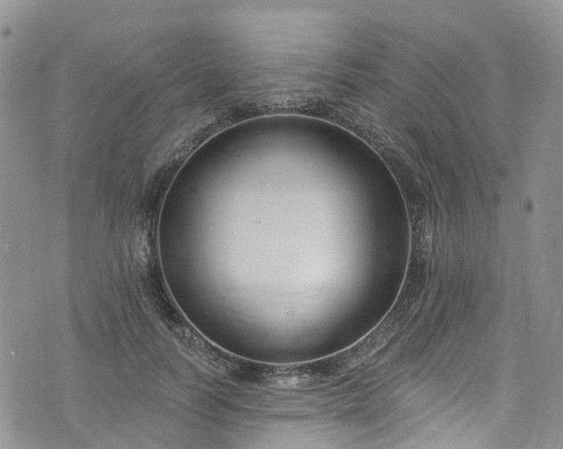 X0000076400746200610161205