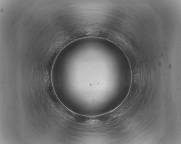 X0000076400748200610161205