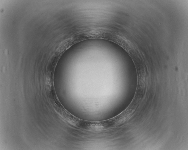 X0000076400749200610161205