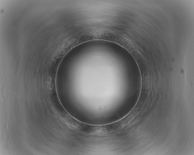 X0000076400750200610161205