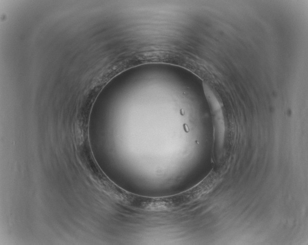 X0000076400751200610161205