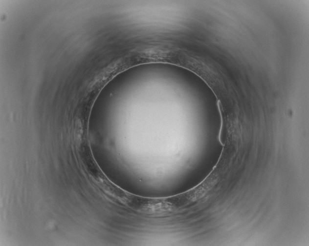 X0000076400752200610161205