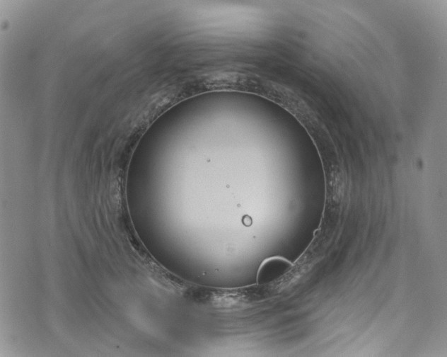 X0000076400753200610161205