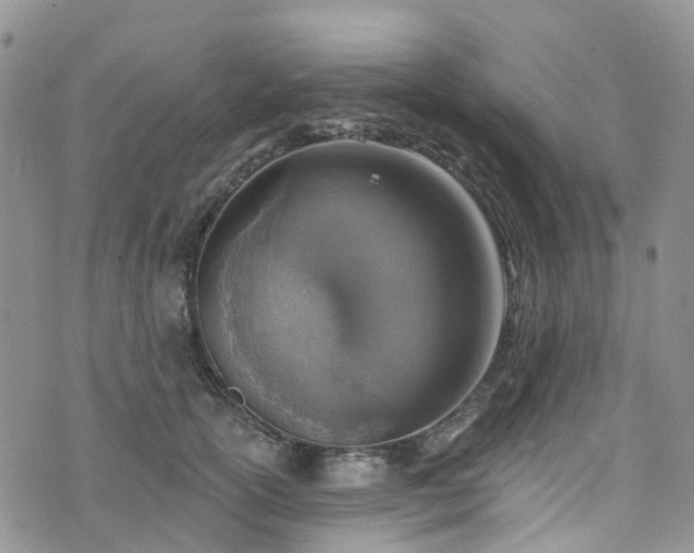 X0000076400754200610161205