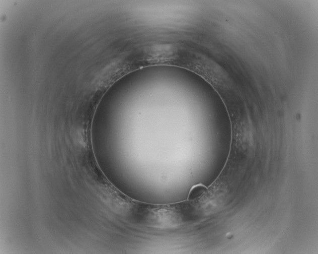 X0000076400755200610161205