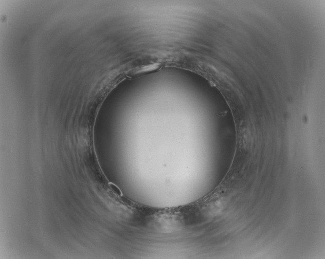 X0000076400756200610161205