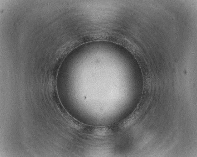 X0000076400757200610161205