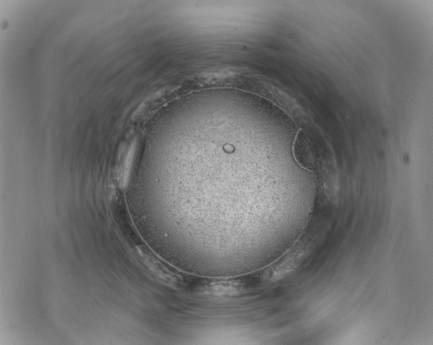 X0000076400758200610161205