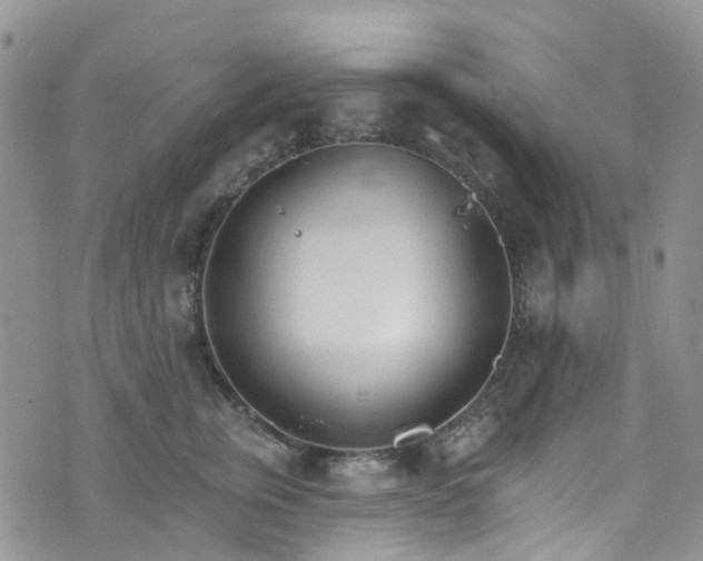 X0000076400759200610161205