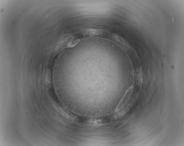 X0000076400760200610161205