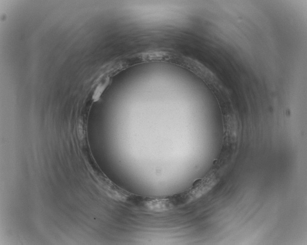 X0000076400761200610161205