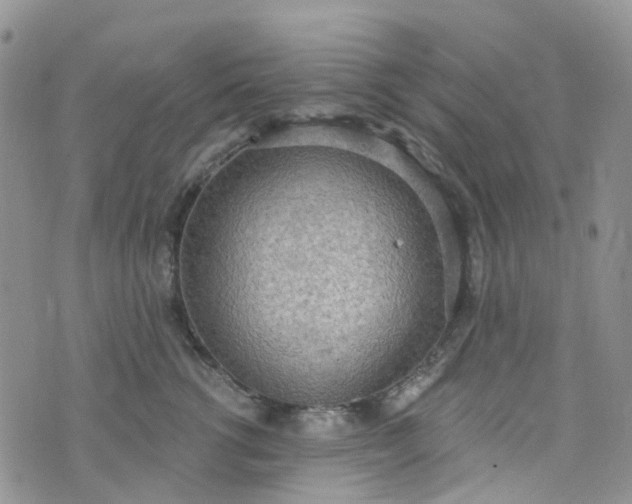 X0000076400762200610161205