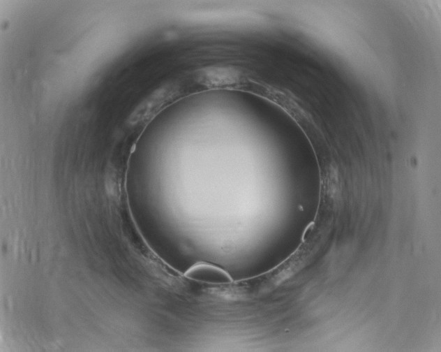 X0000076400763200610161205