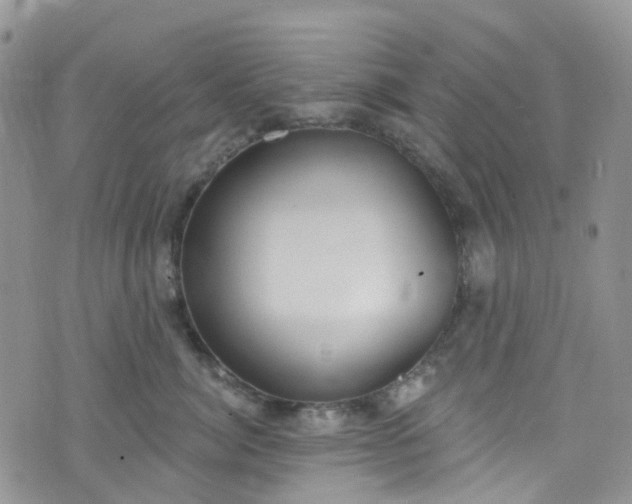 X0000076400764200610161205