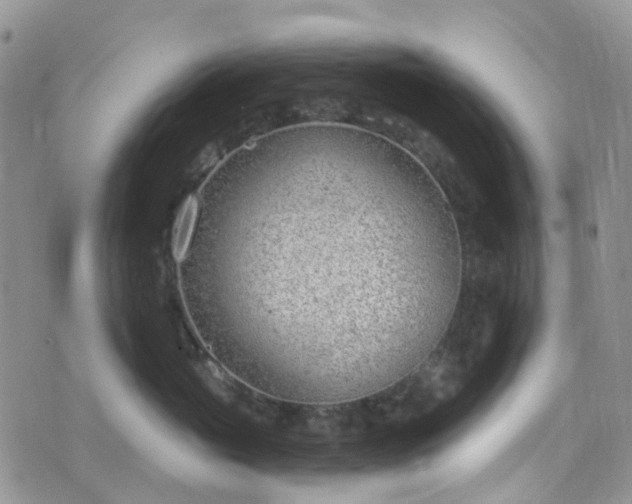 X0000076400765200610161205