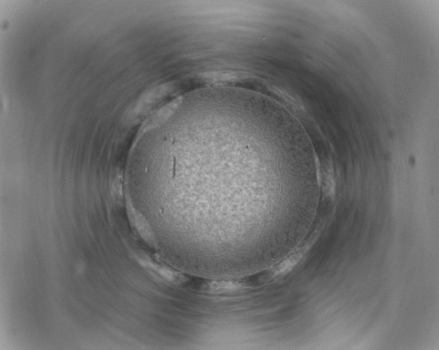 X0000076400766200610161205