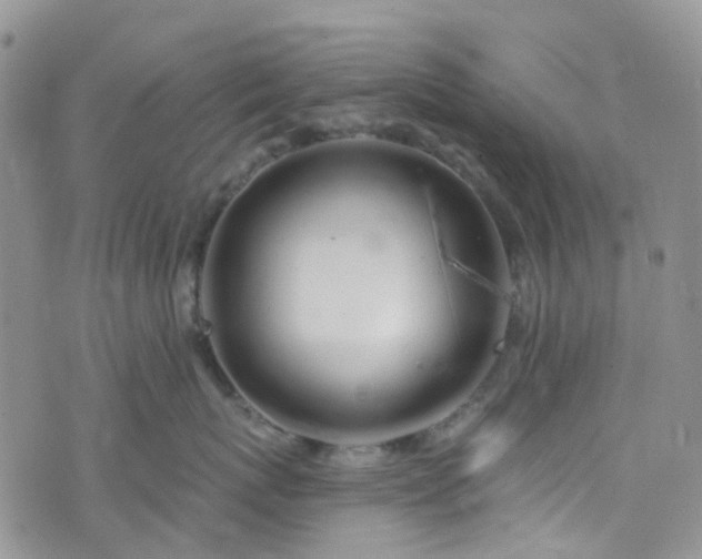 X0000076400767200610161205