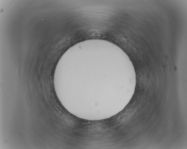 X0000076400769200610161204