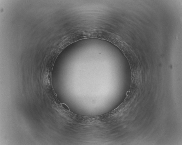 X0000076400770200610161204