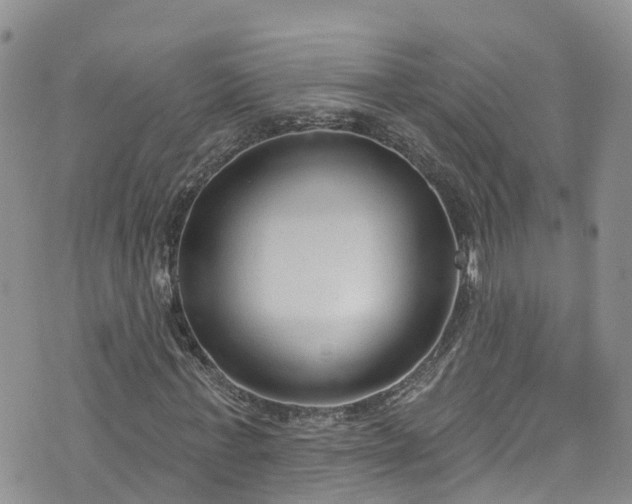 X0000076400771200610161204