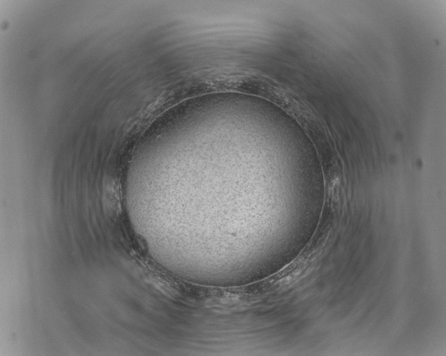 X0000076400772200610161204