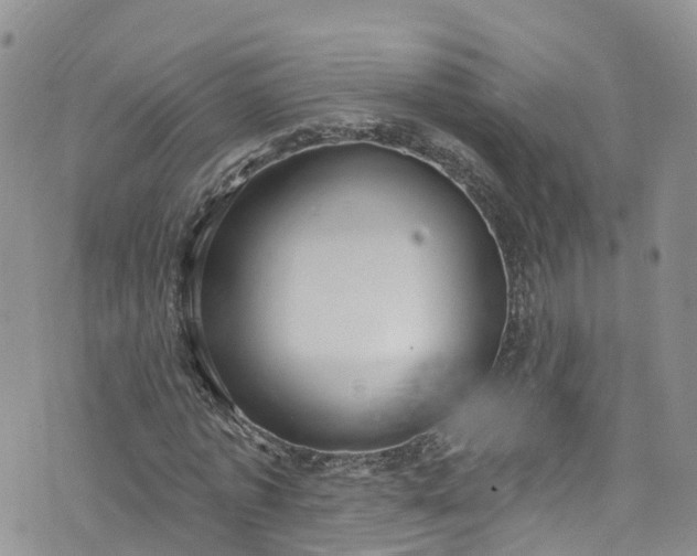 X0000076400773200610161204