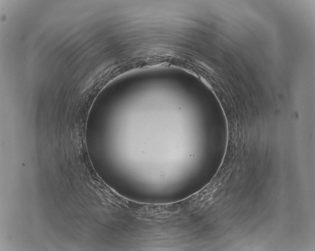 X0000076400774200610161204