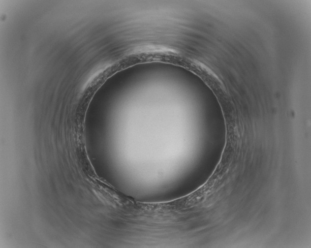 X0000076400775200610161204