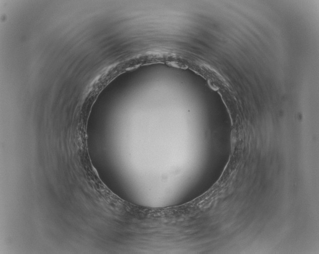 X0000076400776200610161204