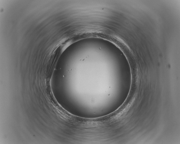 X0000076400777200610161204