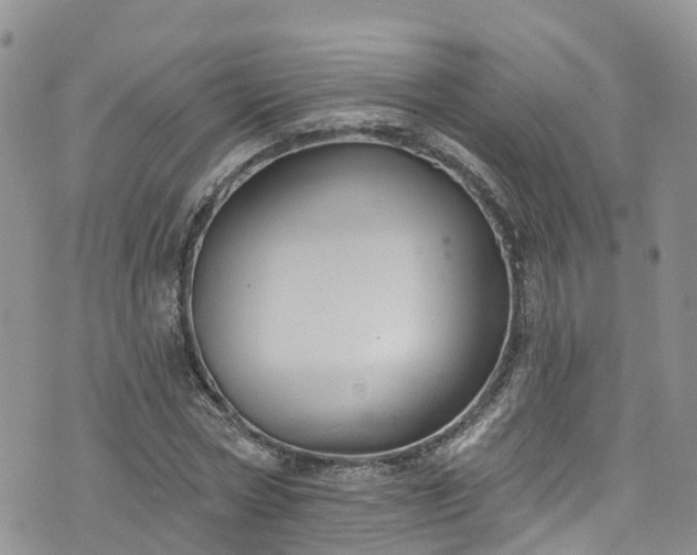 X0000076400778200610161204